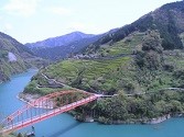 ダム湖に茶園が映える沢渡地区の風景