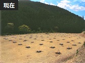 しまんと新一次産業株式会社
