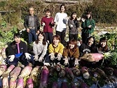 入河内大根のこそう会