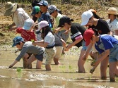 株式会社 サンビレッジ四万十