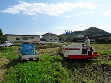 コンバインから運搬車への積み込みの様子