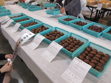 県西部で生産され、高知市内にはあまり出回らない大粒の栗も、たくさん並びました