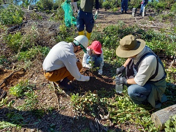植裁活動の様子