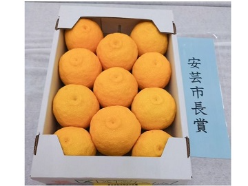 令和6年農産物品評会で受賞（ゆず）（千光士農園提供）