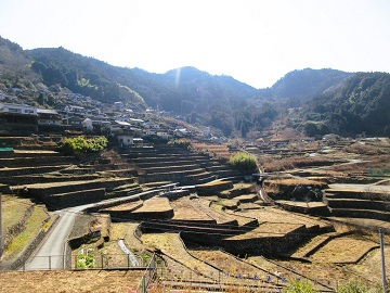 長者の棚田風景