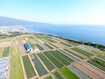 上空から見た大野台地の棚田(田野町提供)