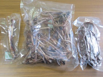 シカの骨や筋を活用したペットフード商品