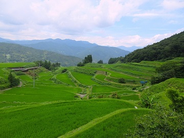 高須の棚田風景