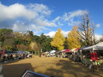 オーガニックフェスタの会場