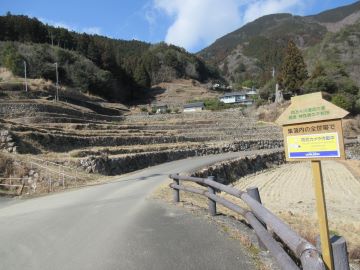 急斜面に石積みで築かれた神在居の千枚田