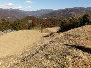 標高650mにあるほ場