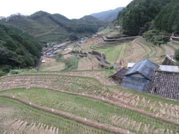 キャンドルまつり  点火前の棚田