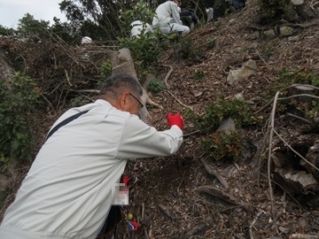 児童が植栽するための穴を掘る様子