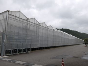 園芸ハウス外観