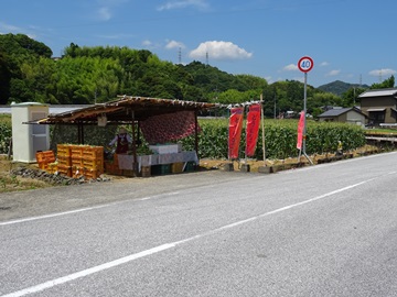 道路に面した販売所ときび畑
