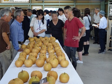食味・目慣らし会の様子