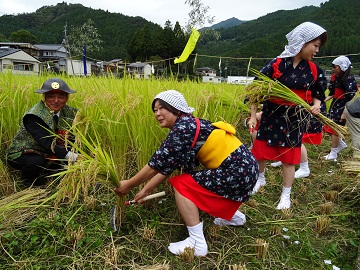 残りの稲をみんなで収穫