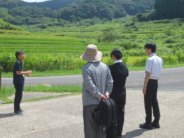 棚田の説明