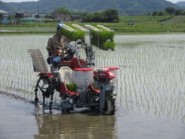1.自動操舵による田植え.jpg
