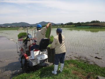 先輩から後輩への技術指導