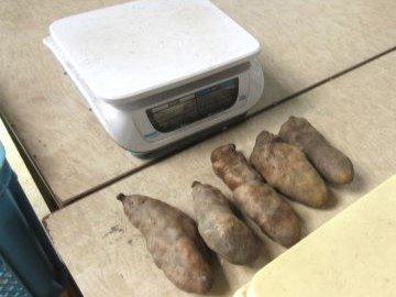 選別・計量された銀沫