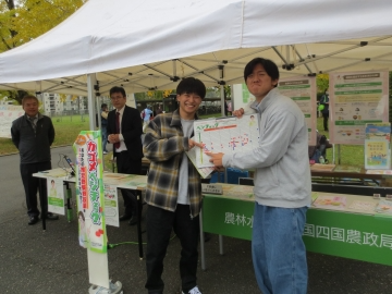 べジチェックに挑戦
