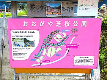 おおがや芝桜公園」の案内図