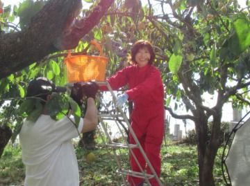 土井農園 山部さん