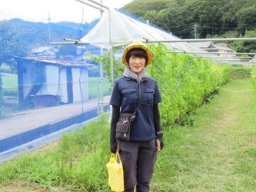 ワイン用ぶどうの苗木と茂木さん