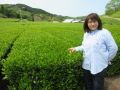 茶畑と佐々木さん