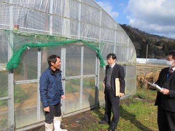 代表