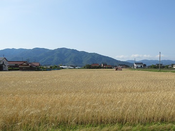 出雲平野