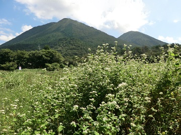三瓶山