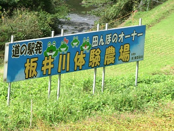ほ場