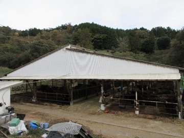 牛舎の全景