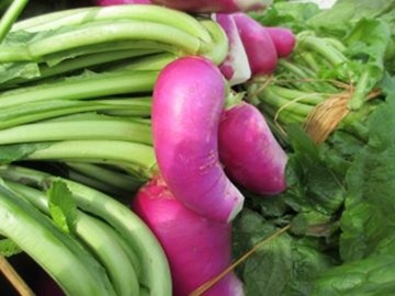 勾玉の様な津田かぶ