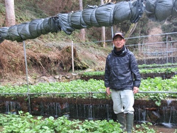 わさびたと組合長