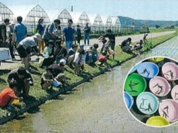 どじょうを放流する子供たち