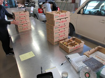 生産者から持ち込まれたいちじく