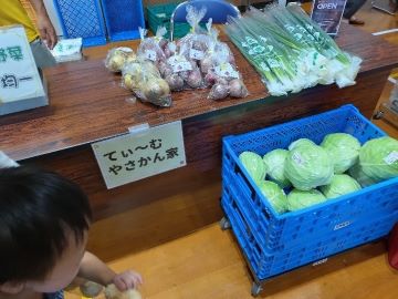 弥栄町で生産された野菜