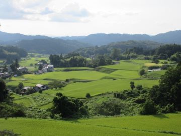 棚田の景観