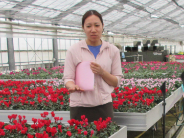 シクラメンのハウスで話をされる多久和美由紀さん