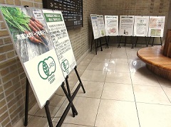 パネル展示