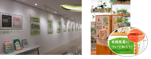 展示の様子