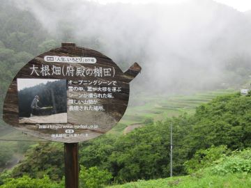 府殿の棚田