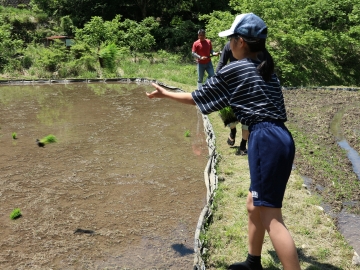 誰が苗を一番遠くに投げられるかな？