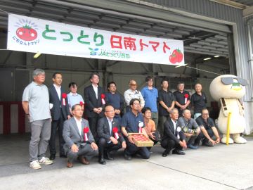 日南トマトを支える生産者
