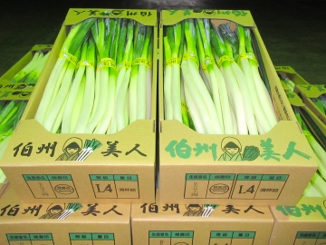 出荷用の伯州美人
