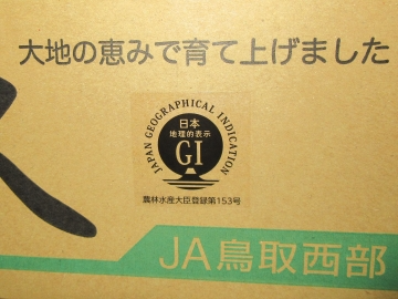 GIマーク