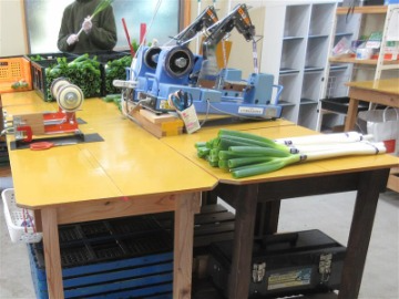 サイズチェックと結束作業